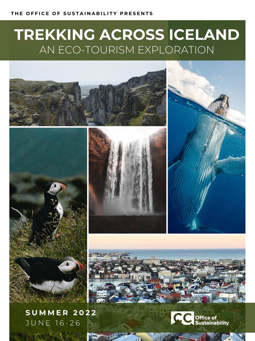 iceland-poster